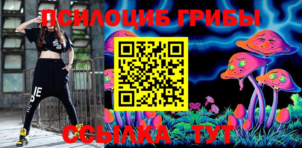 Псилоцибиновые грибы Cubensis Горячий Ключ