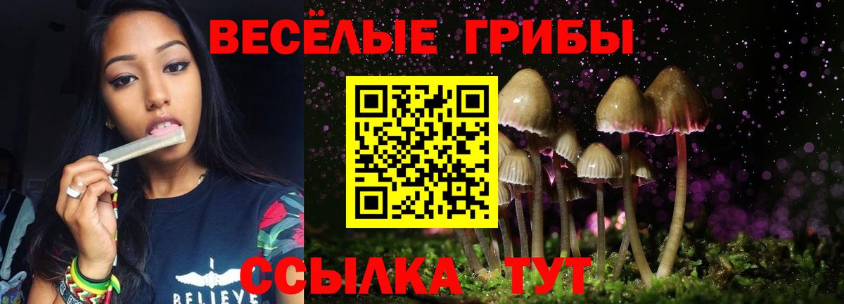Псилоцибиновые грибы Cubensis  Вход с VPN  Псилоцибиновые грибы мухоморы  Горячий Ключ 